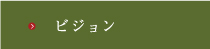 ビジョン